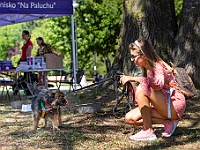 Adoptuj Warszawiaka  Wydarzenie promujące adopcję zwierząt. Organizator: Schronisko dla Bezdomnych Zwierząt "Na Paluchu". 18 sierpnia 2019, Park Raszyński w Raszynie. : park raszyński, adoptuj warszawiaka, na paluchu, schronisko dla zwierząt, centrum warszawy, raszyn